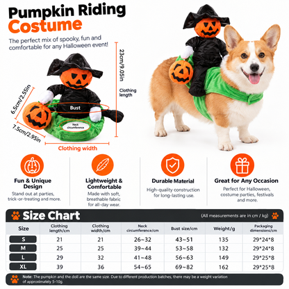 PumpKin Knight Costume